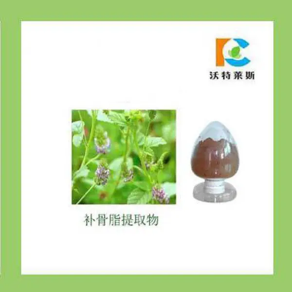 ����֬��ȡ��10:1 ����֬�� 1kg�� ���� ***