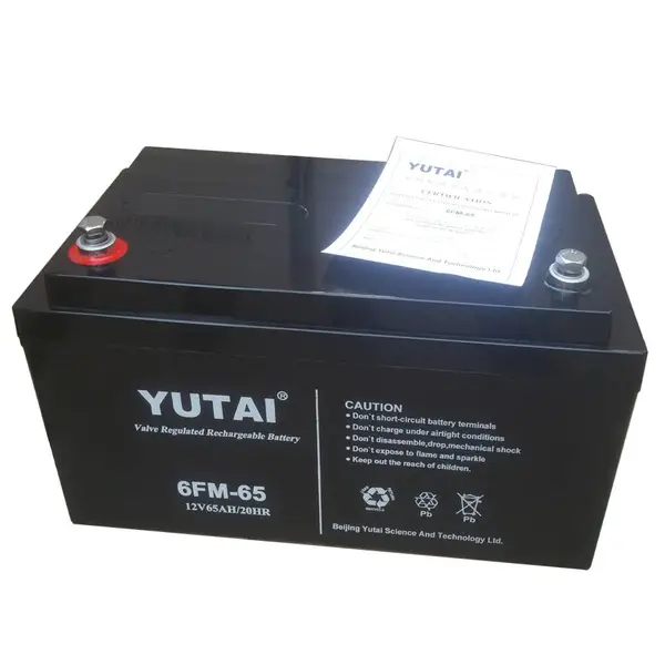 宇泰蓄电池6FM-24阀控密封式铅酸12V24AH/20HR UPS电源配套