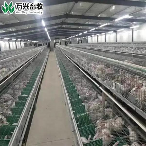 母兔种兔笼 三层立体兔笼 热镀锌欧式兔笼