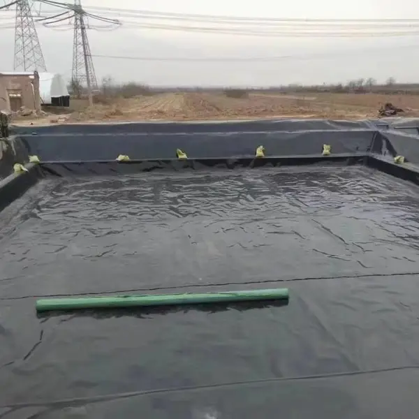 ˮ��Ӱ��ø�������Ĥ HDPE����Ĥ ���񳡷���Ĥ