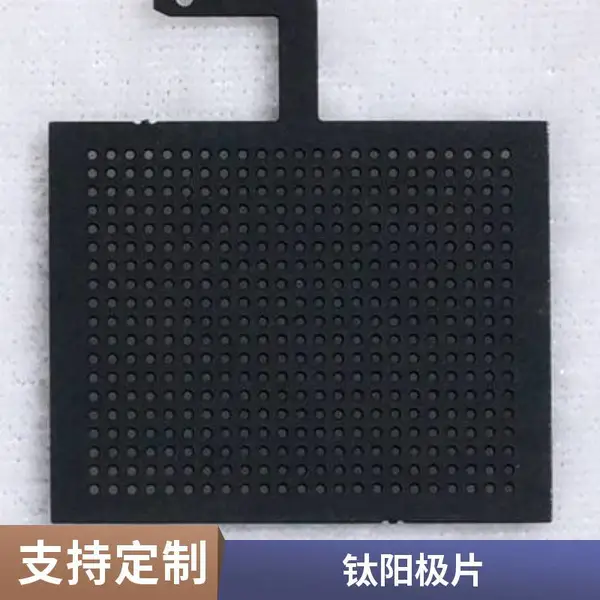 钛基涂层 电极片 果蔬清洗机 除农残专用 食材净化机 配件
