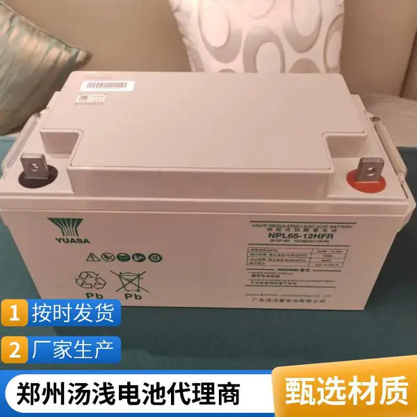 YUASA汤浅蓄电池NP12-17 12V17AH 免维护储能型 UPS应急电源