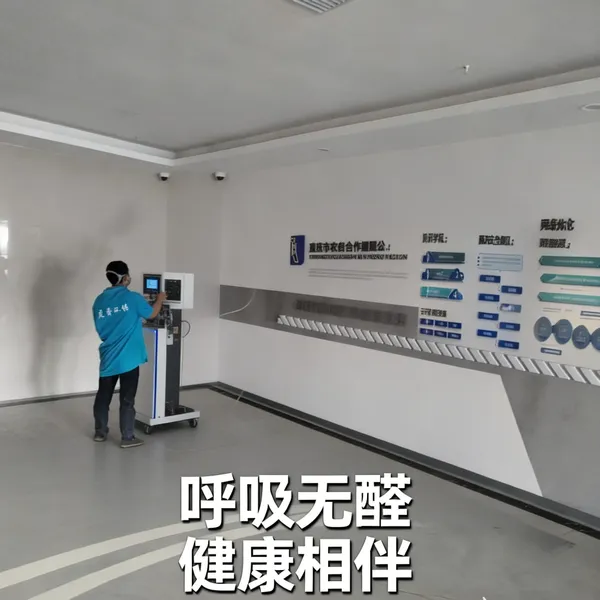 重庆除甲醛公司 母婴级除甲醛产品 光触媒治理服务 儿童房空气净化 上门施工