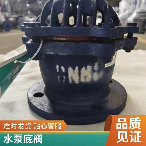 水泵底阀 丝口连接 304不锈钢 小型自吸泵底阀 防回流 厂家现货