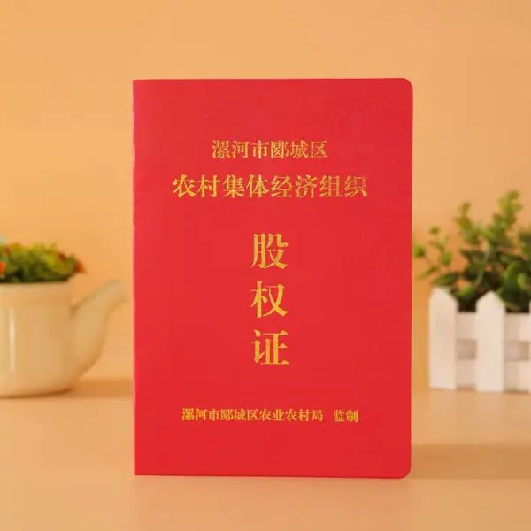 制作 签证股权证 香港股权证书