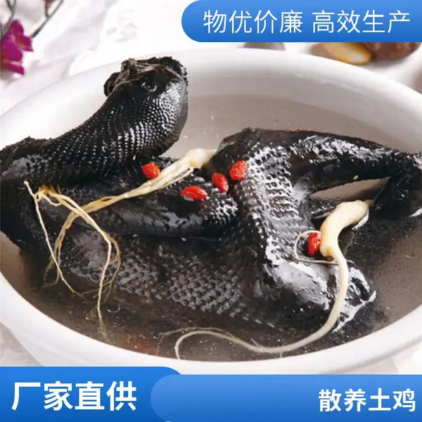一手三鸟乌鸡乌骨鸡土鸡供应新鲜散养批发每天屠宰2-3万可以斩块