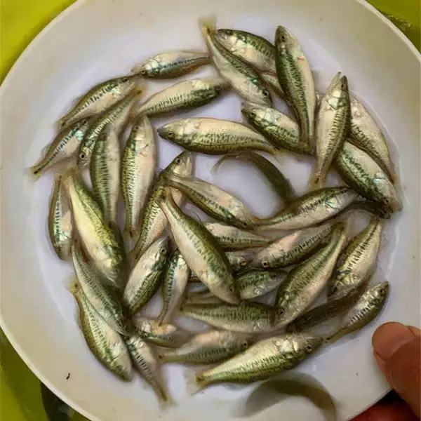 �����ṩ�ʻ����������_�����ˮ����ֳ·����-******ˮ��Ʒ
