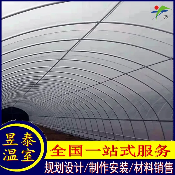 ����������������׹����߲���ֲ������̩���Ҳ���YTWSLP0237