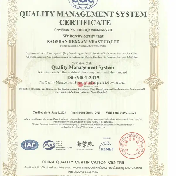 ISO 9001 认证证书