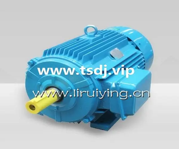 ��˶��� YZS-125-6 10KW-�񶯵��-�����񶯵��