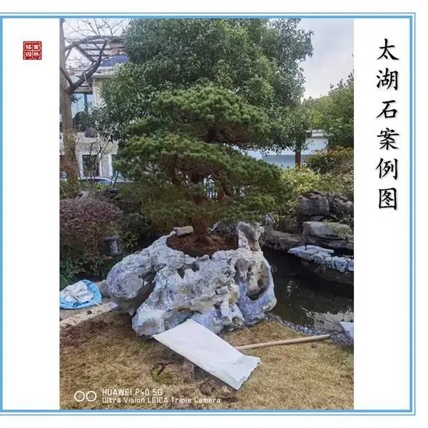 学校文化创意石太湖石-苏州太湖石景观设计-草坪点缀石太湖石