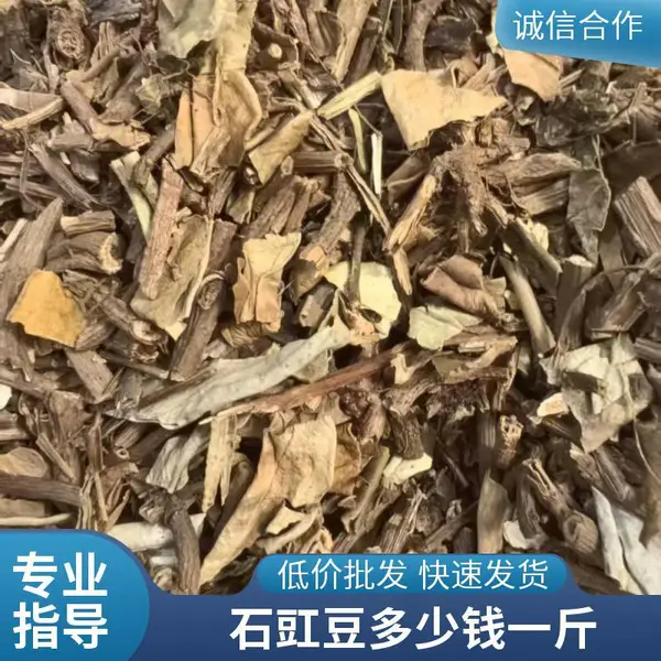 【石吊兰,石豇豆、石泽兰出售岩豇豆、岩石茶批发零售干净奇弘堂】价格_厂家-供应商网