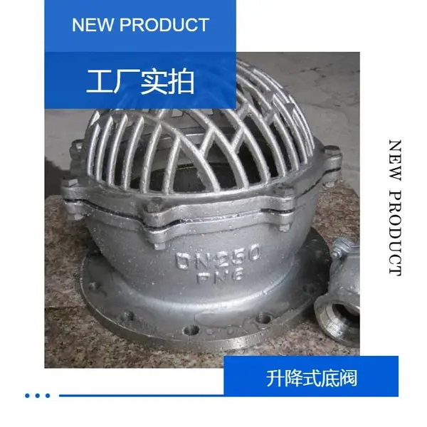 H42X-16P南高法兰升降式底阀 低阻力 大流量 水泵吸水阀 不锈钢材质