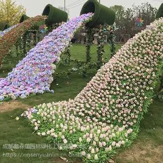 �ɶ��������ֲ��Ŷ���������⻨��
