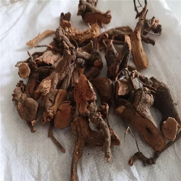 中药大红袍/安徽优质大红袍药用价值