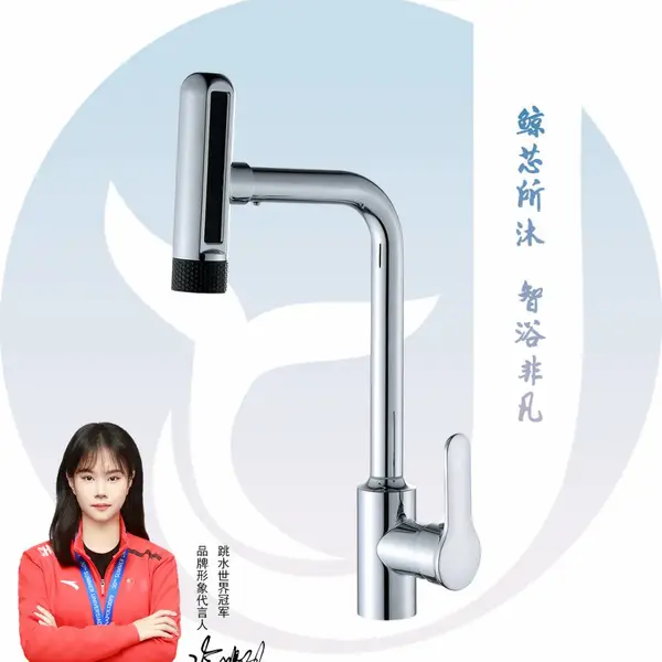 鲸沐王厨房抽拉式万向旋转不锈钢冷热水龙 头洗菜盆水槽混水龙 头 可定制