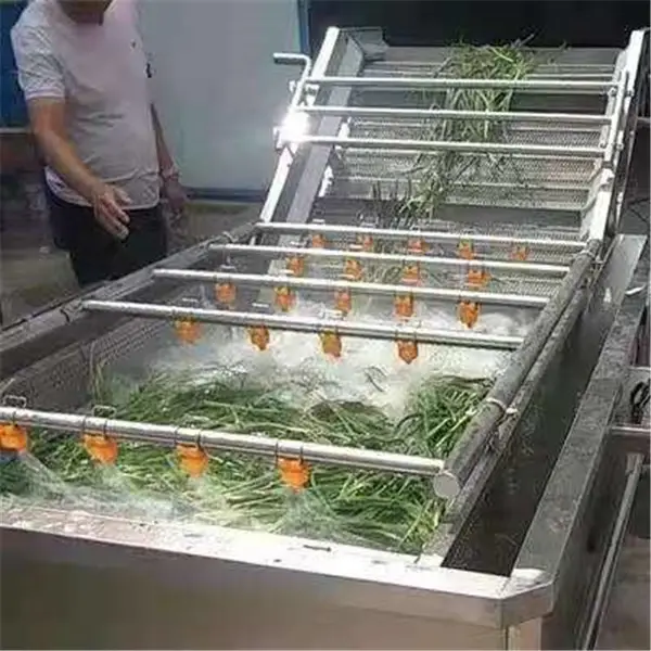 景翔牌豆角清洗机 海鲜清洗机 苹果清洗机质量***