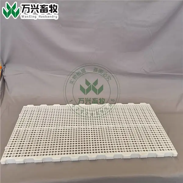 鸡舍用漏粪地板 鸡塑料地板批发 塑料漏粪板专卖店