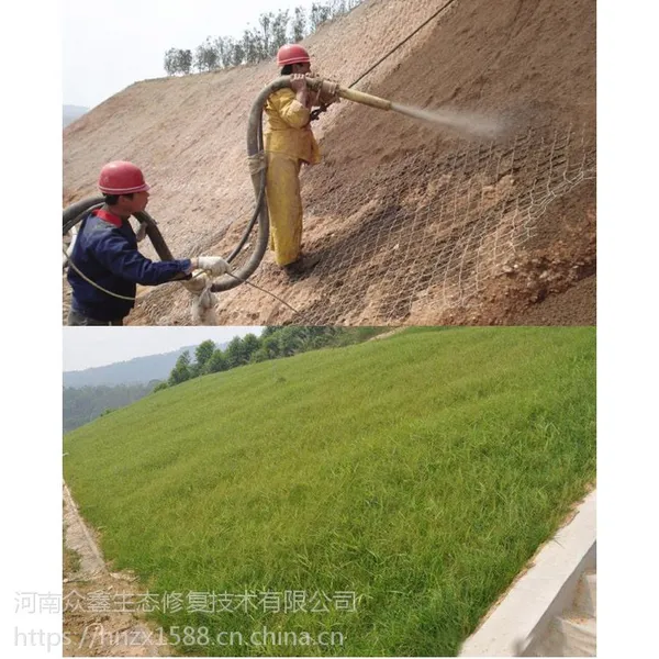 云南香格里拉土壤团粒剂生态修复喷播一平方多少用量