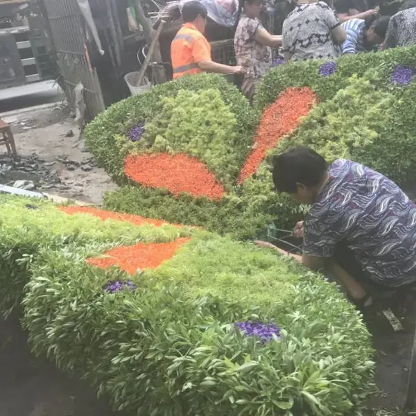 打造民宿适合的植物草坪或者花朵包围的墙面室内室外都可以制作的哦