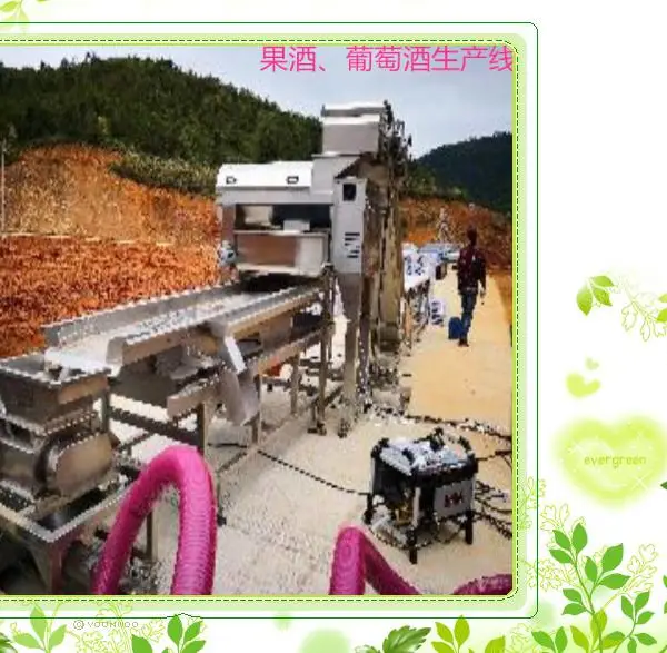 新轻机械 葡萄酒生产线设备 设计加工 安装调试 ***质量