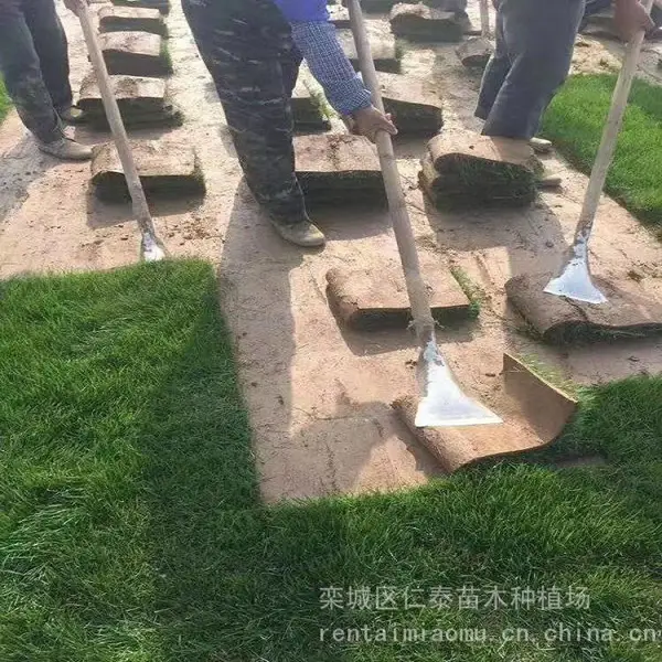���� �� �� ���Ѳ�ƺ��na���� �ù����Ĳ����� �ƻ�ˮ��