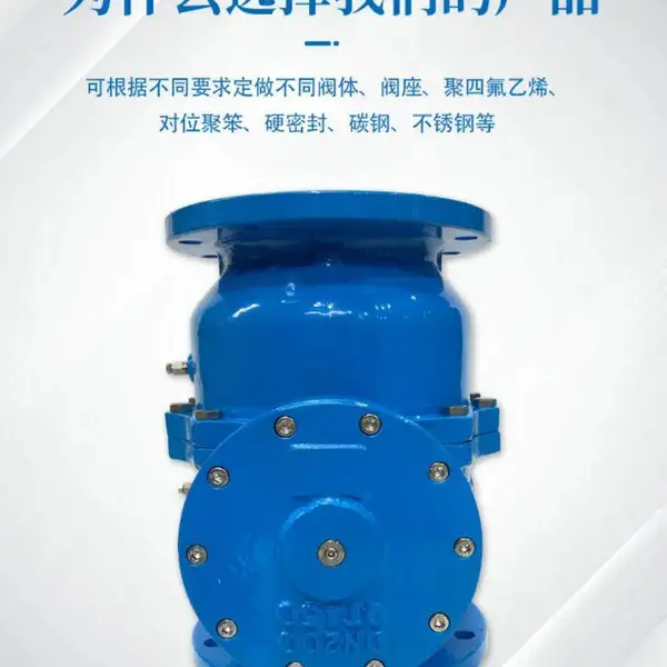 DSBP741X-10Q南高低阻力倒流防止器DN250消防管道用防污水回流