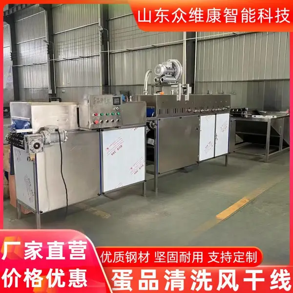 商超保洁蛋清洗线 大型餐饮高效洗蛋机 蛋品加工厂鸡蛋清洗机