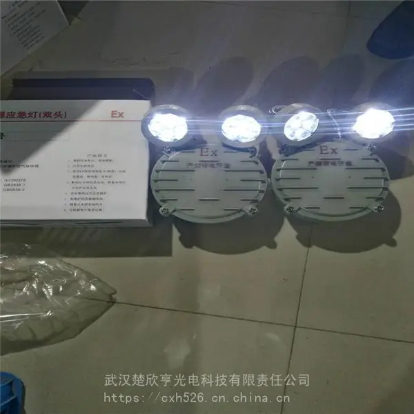 圆形防爆应急照明灯具dZ53-J2*3 IP65防爆双头应急灯
