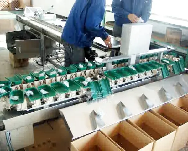 鸡爪子分拣装盒包装线 料盒式鸡爪自动分拣流水线