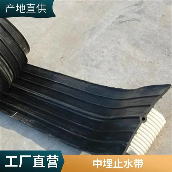 ����������bw��ˮ������ֹˮ�� 350*6���󽽴�����ʽ