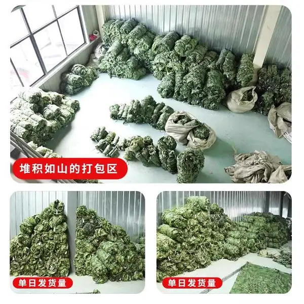 防航拍迷彩网伪装网防卫星遮盖遮挡网防伪网山体绿化网户外遮阳网
