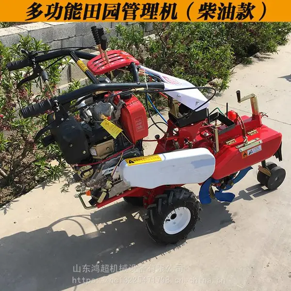 �賬��д󽪿����� �����԰���������� С����԰������