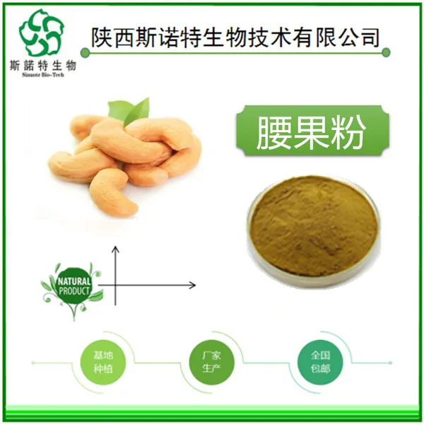 斯诺特生物 棕黄色粉末 腰果粉 腰果多糖 水溶性 食品原料