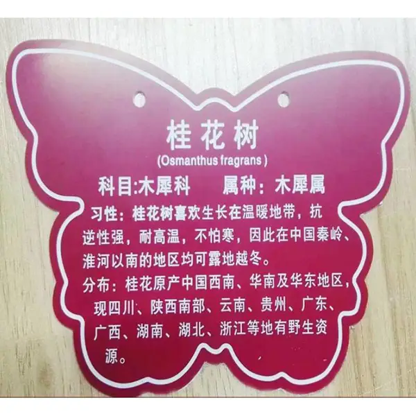 ���ݻ���˫ɫ���̻������PVC�����ABS������л������ǿ�������