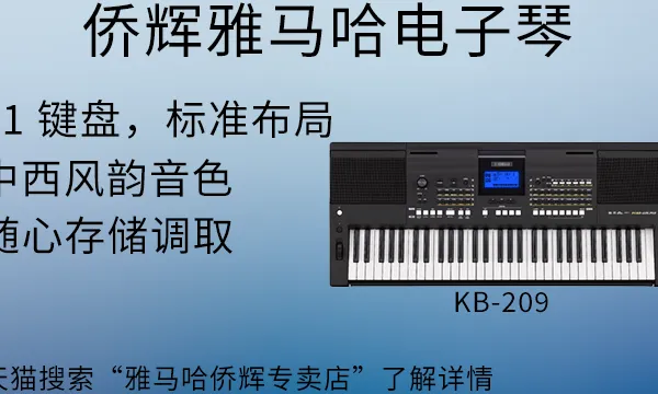 徐汇区电子琴套装 上海侨辉经贸供应