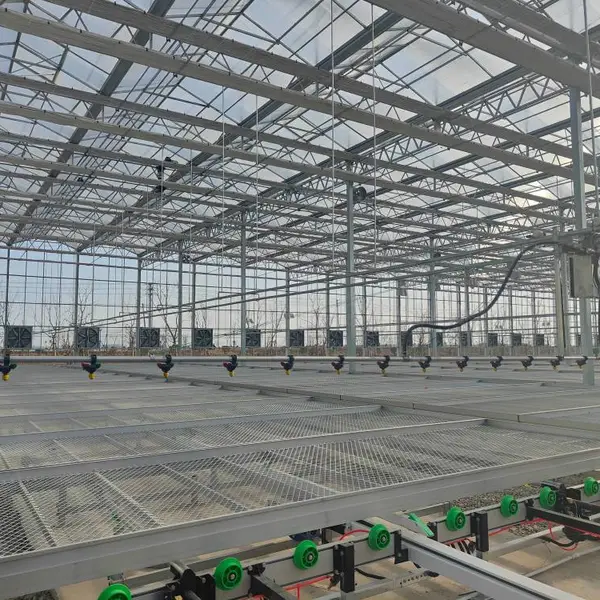 钢结构温室大棚保温钢管棚建设轻钢结构结构稳定