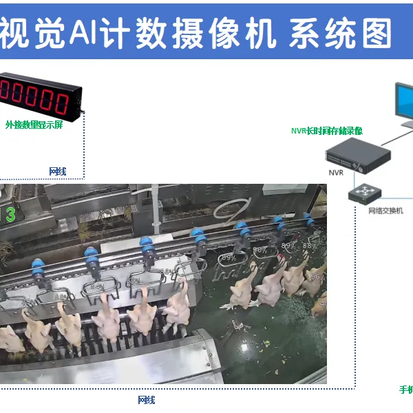 视觉数鸡摄像头 屠宰生产线视觉自动计数