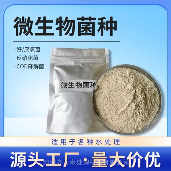 安徽 固体粉末状反硝化菌种 污水处理菌种 液体菌剂 微生物菌种用途