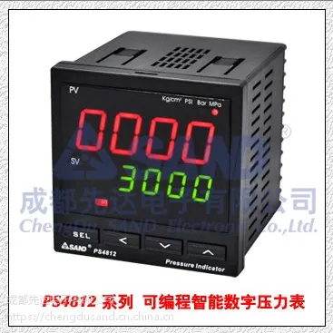 PS4812可编程智能数字压力显示表