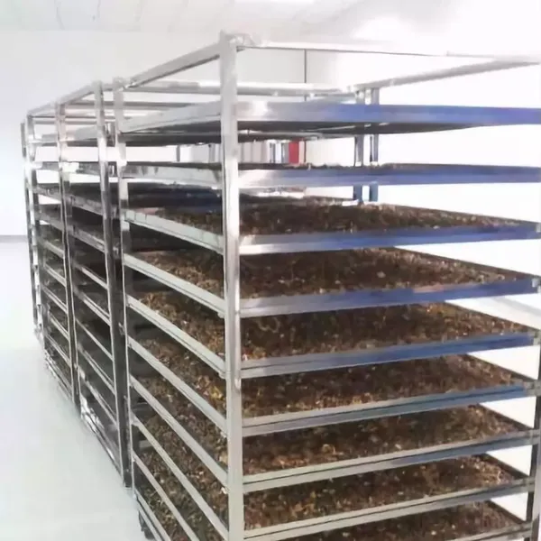 龙眼烘干设备 空气能龙眼烘干机