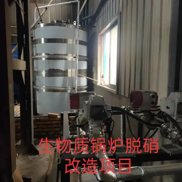 邯郸生物质锅炉脱硝系统脱硝催化剂