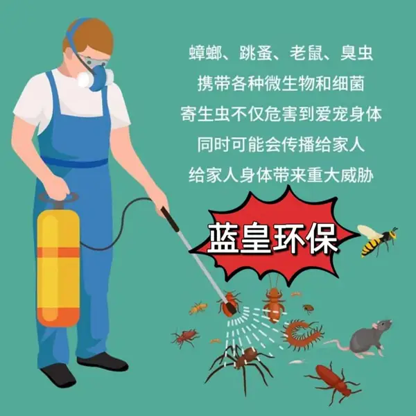 上海除蟑螂灭蟑螂除老鼠灭白蚁除四害公司 商务楼除跳蚤除虫灭鼠