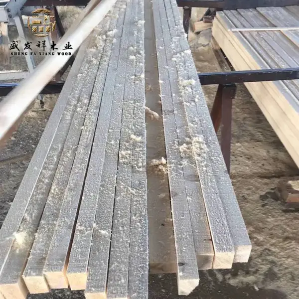 �żҿڹ��ط�ľ��ɼľ����Ŀľ��