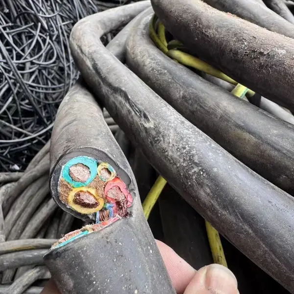 �㶫��������ѹ���»��� �ֽ����Ÿ�Ч����