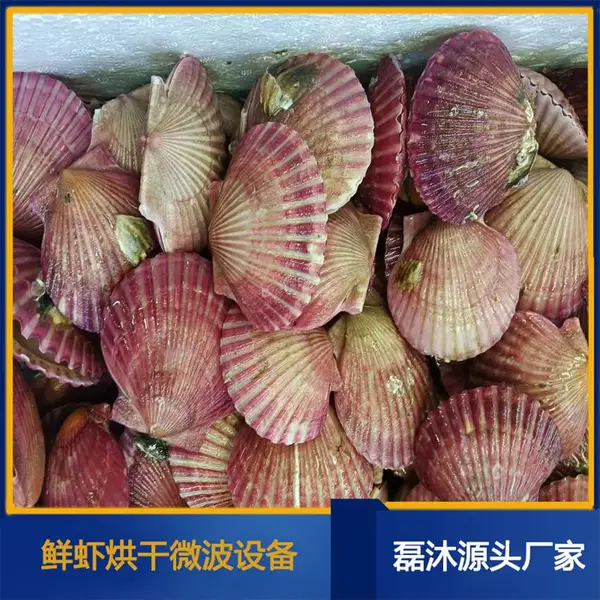 海鲜烘干机#鲜虾对虾活虾微波快速烘干机械#山东磊沐工业微波炉