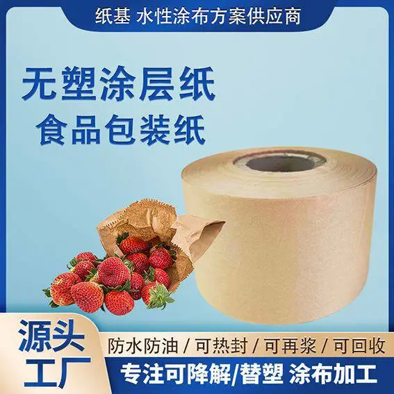 无塑涂层纸 防油防水可降解可热封环保包装纸袋手提袋纸 可定制