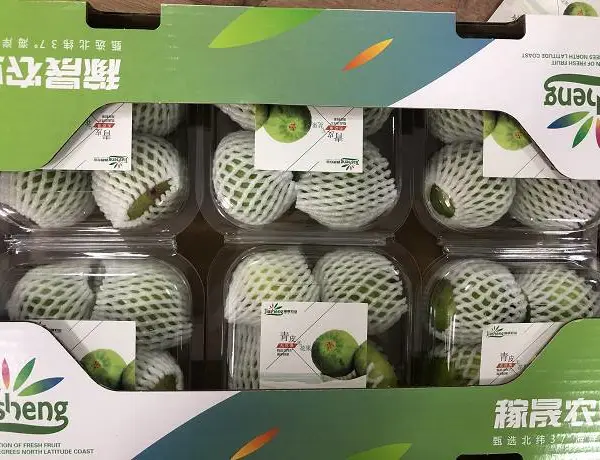 代收!批发!威海青皮无花果秋果鲜果现货