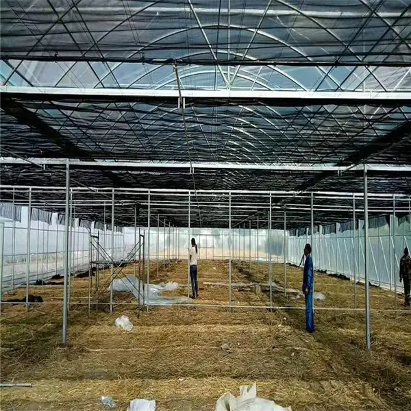 三门峡卢氏镀锌大棚管 背靠背连栋大棚防风避雨 肩并肩温室连栋大棚外遮阳