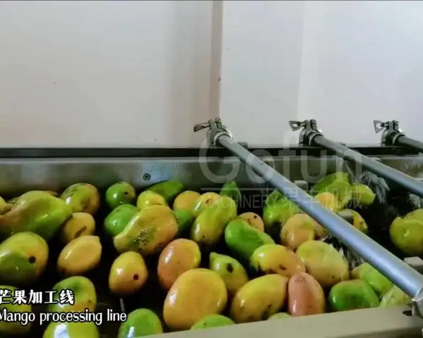 上海智能浆果果汁加工生产线 上海果丰机械设备供应